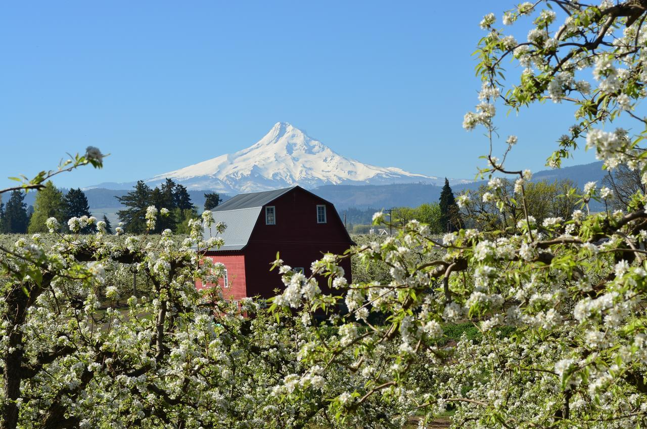 Old Parkdale Inn Bed And Breakfast Hood River Exterior foto